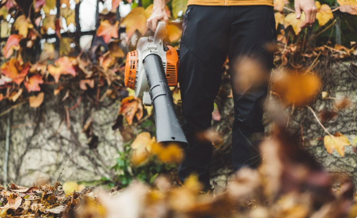 Witaj na naszym blogu!