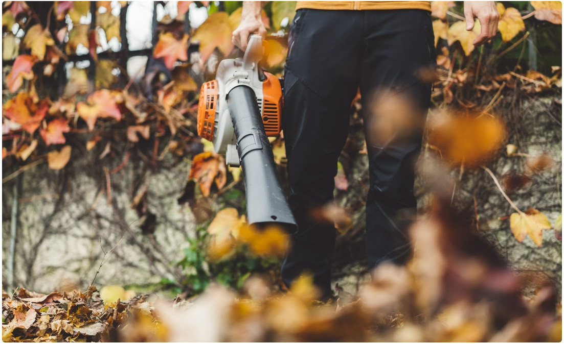 Witaj na naszym blogu!